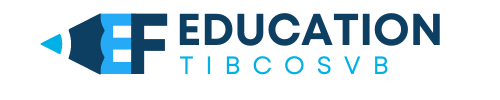 efeducationtibcosvb.com logo