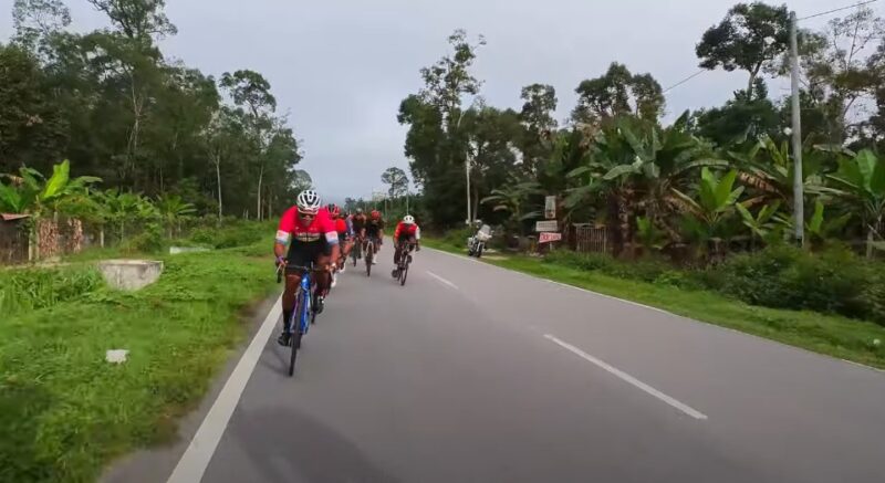 Domestique teamwork in cycling