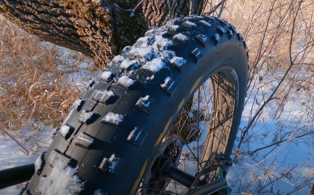 A close up photo of a rear fat tire on a bike