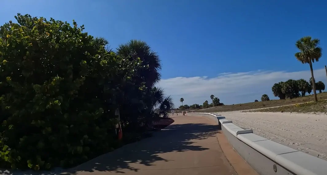 Sunny coastal walkway, shaded by lush vegetation