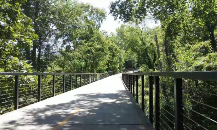 A bridge with a railing surrounded by trees on both sides