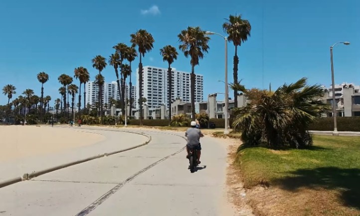 A person rides a bike along a sidewalk lined with palm trees