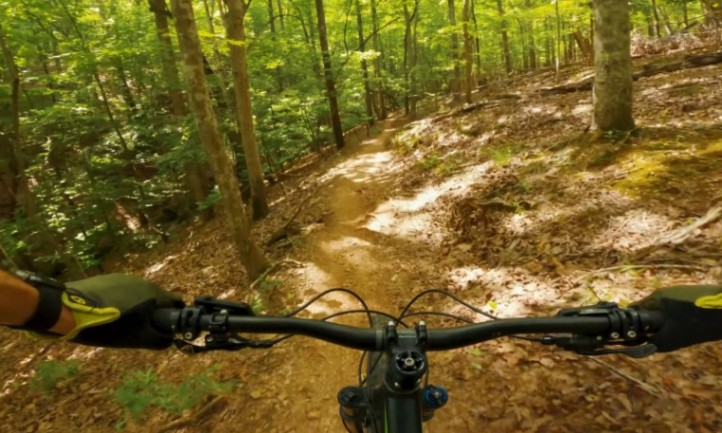 A cyclist's view of a narrow, winding dirt trail in a sunlit forest